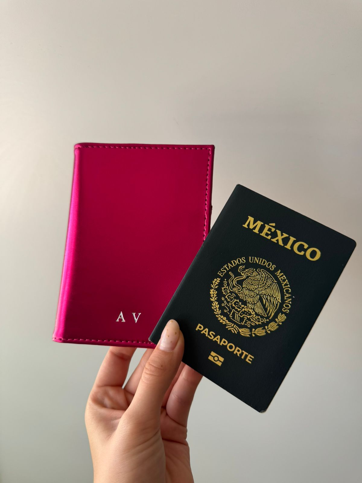 Porta Pasaporte ✈️🌍